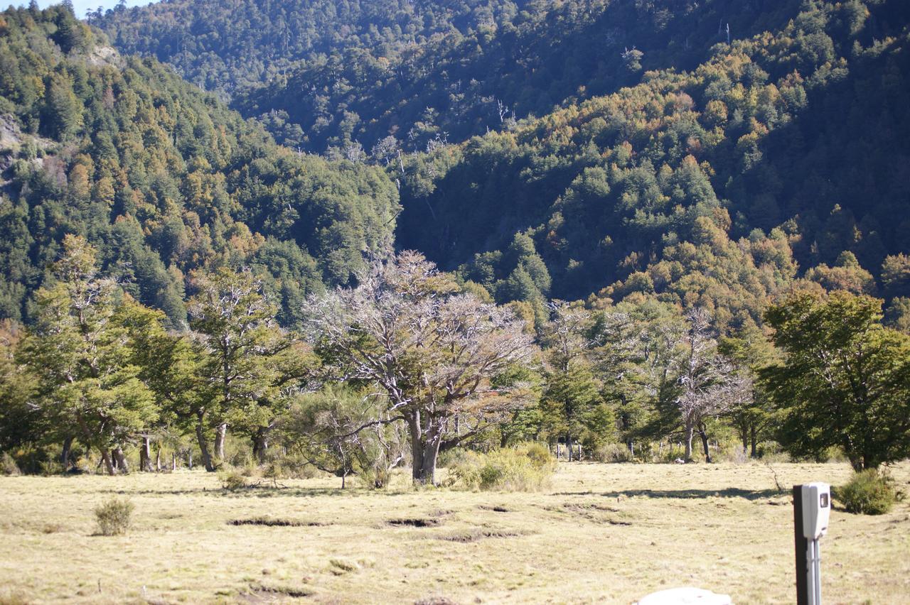 Chalet Tunquelen Malalcahuello