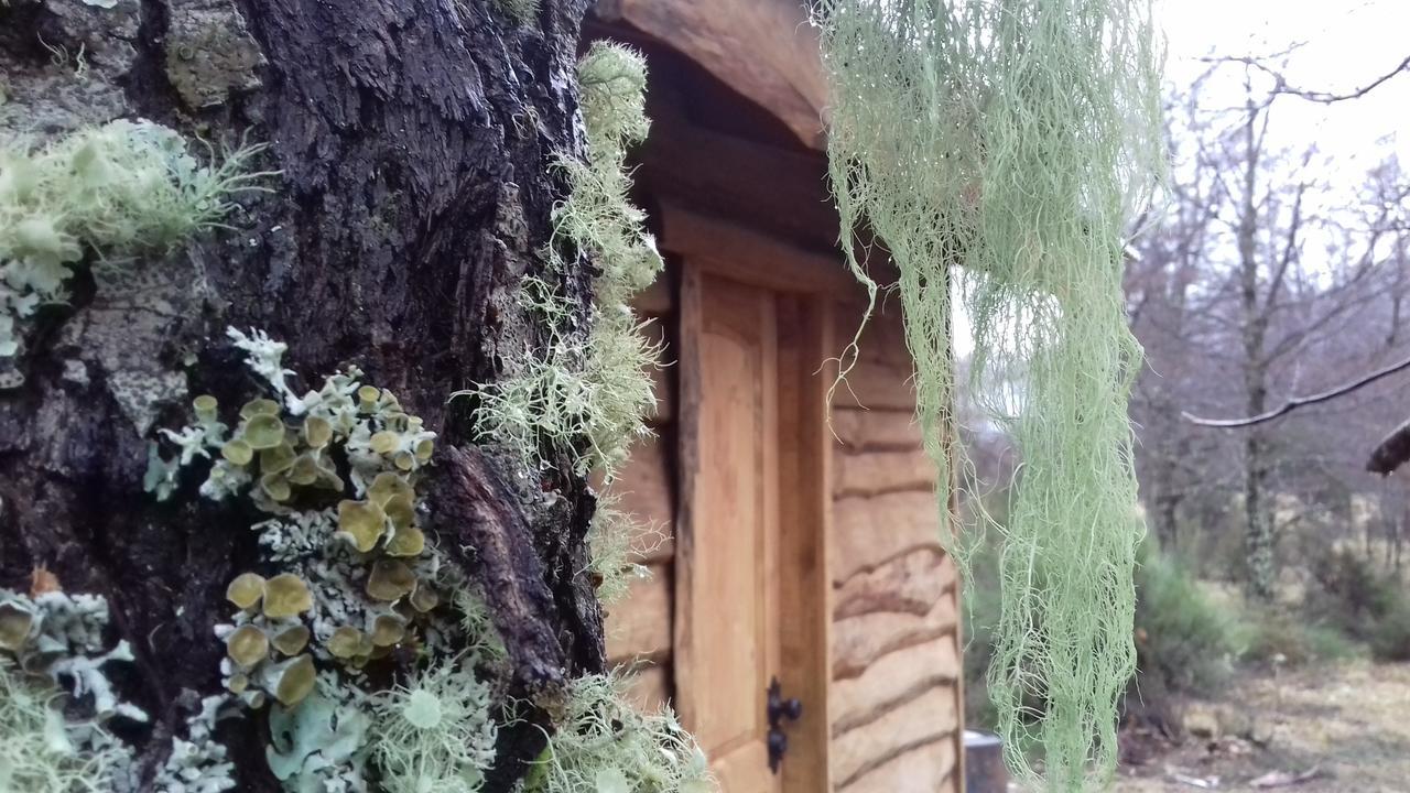 Chalet Tunquelen *